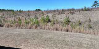 224 Park Crest Run, Chelsea AL 35043 Gallery 41