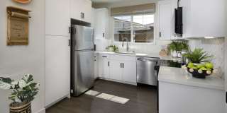 Sierra Vista Gallery 14