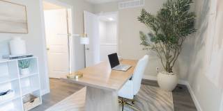 Brand New Construction 3 Bed + 2.5 Bath Gallery 57