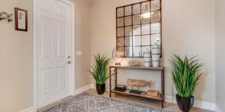 7137 Vilano Lane Gallery 3