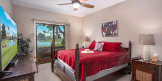 28914 Desert Princess Drive Gallery 10