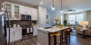 Bainbridge Cary Gallery 2