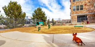 Cortland Flatirons Gallery 28