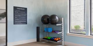 The Cannon Gallery 32