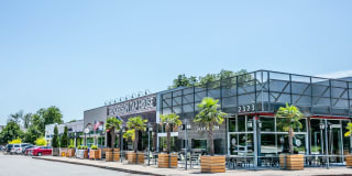 Magnolia off Henderson Gallery 17