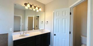 Viewable Now!  Small Dogs Accepted! Gallery 18