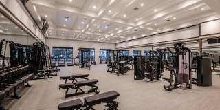 Northhaven Gallery 14