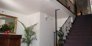 The Patricia Apartments  - the most elegant apartments in Richmond Gallery 75