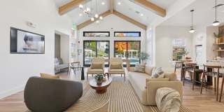 The Ridge Gallery 10