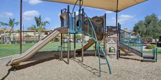 Arezzo Apartment Homes Gallery 17