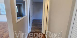 905 Old Field Drive Gallery 10