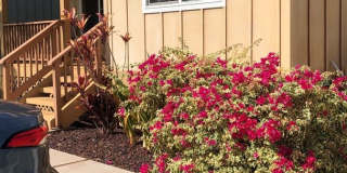 Residential Home at Wai'apo Street Available 6/6/26 Residential Home at Wai'apo Street Available 6/6/26 Gallery 3