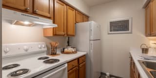 Village East Gallery 1