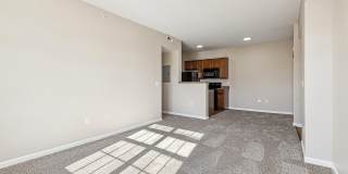 Four Pointe Gallery 21