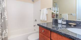 Carrington Gallery 70