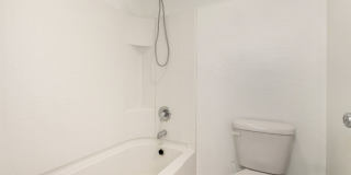 One Of A Kind Home For Rent In Buckeye! Gallery 30