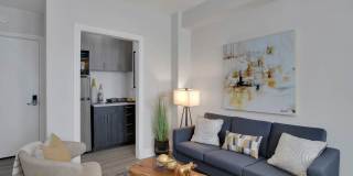 The Novelist Gallery 11