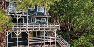 27313 Pinewood Gallery 1