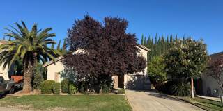 BEAUTIFUL 2 STORY HOME IN THE ROSEMONT AREA Gallery 1