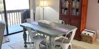 250 Sugar Gum Lane Gallery 6