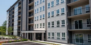 Verona at Naylor Metro Gallery 24