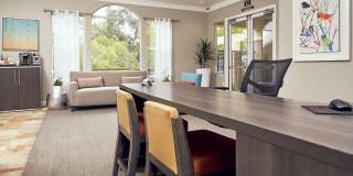 Alta Vista Gallery 8