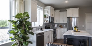 Birke Minnetonka Gallery 1