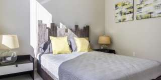 Vu New River Vu New River Gallery 56