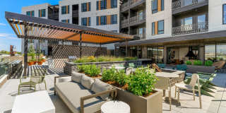 Aura Arts District Gallery 21