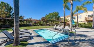 Serenity and Luxury Abound in Eastlake! Gallery 42