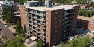 825 Dahlia Gallery 2