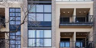 Studio Condo in Heart of Old Town Fort Collins! Gallery 18