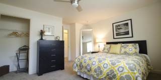 Audubon Pointe Gallery 19