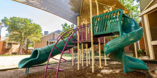 The Orion The Orion Gallery 17