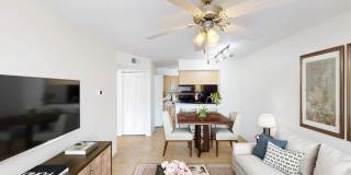 Lakewood Place Gallery 13