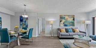 Marina Del Mar Gallery 8