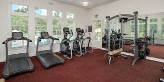 Evander Square Gallery 18