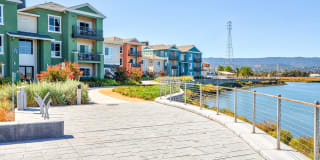 Blu Harbor by Windsor Gallery 6