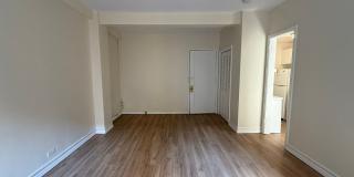 Old King Edward Gallery 83