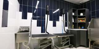 Station 250 Mundelein Gallery 47