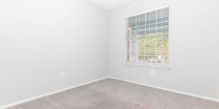 Banyan Cove Gallery 19