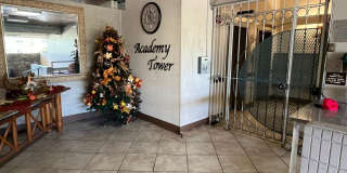 Academy Tower (Ward Ave/Honolulu) - 2 bedrooms, 2 bathrooms, 2 parking, swimming pool Academy Tower (Ward Ave/Honolulu) - 2 bedrooms, 2 bathrooms, 2 parking, swimming pool Gallery 1