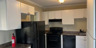 113 Rue Max St Pensacola, FL 32507 MOVE IN SPECIAL: HALF OFF first full month of rent!!! Gallery 8