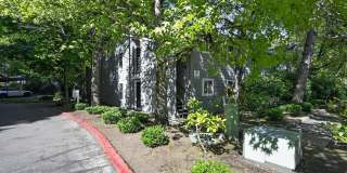 Charming 2BR Condo in Kirkland Gallery 1