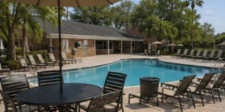 1/1 Lakefront Living in Carrollwood! Available July 10th! Gallery 15