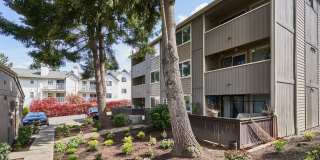 Highland Ridge Gallery 15