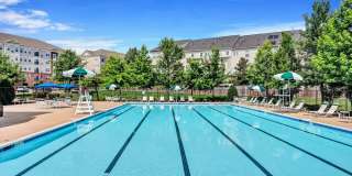 Reid's Prospect Gallery 13