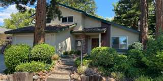 WONDERFUL CONCORD 4 BEDROOM HOME ON AN IDEAL TREE LINED STREET WITH NO REAR NEIGHBORS! Gallery 1