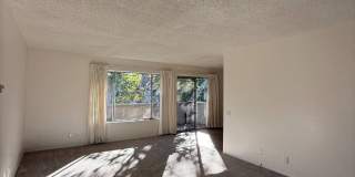 117 W Avenida De Los Arboles Gallery 11