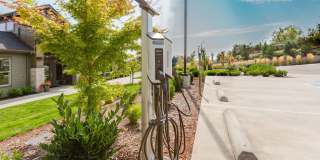Norland Trails Gallery 32